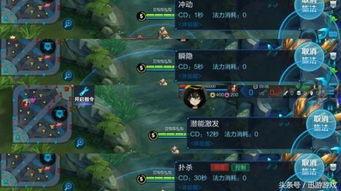 王者技能爆料大全最新版,最新版技能解析与前瞻